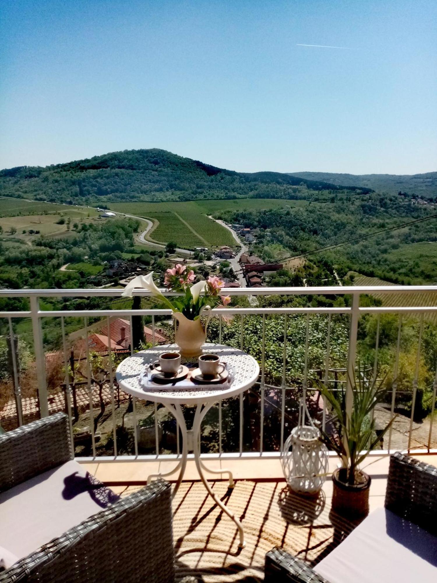 Studio Apartman Bel Vedere Мотовун Экстерьер фото