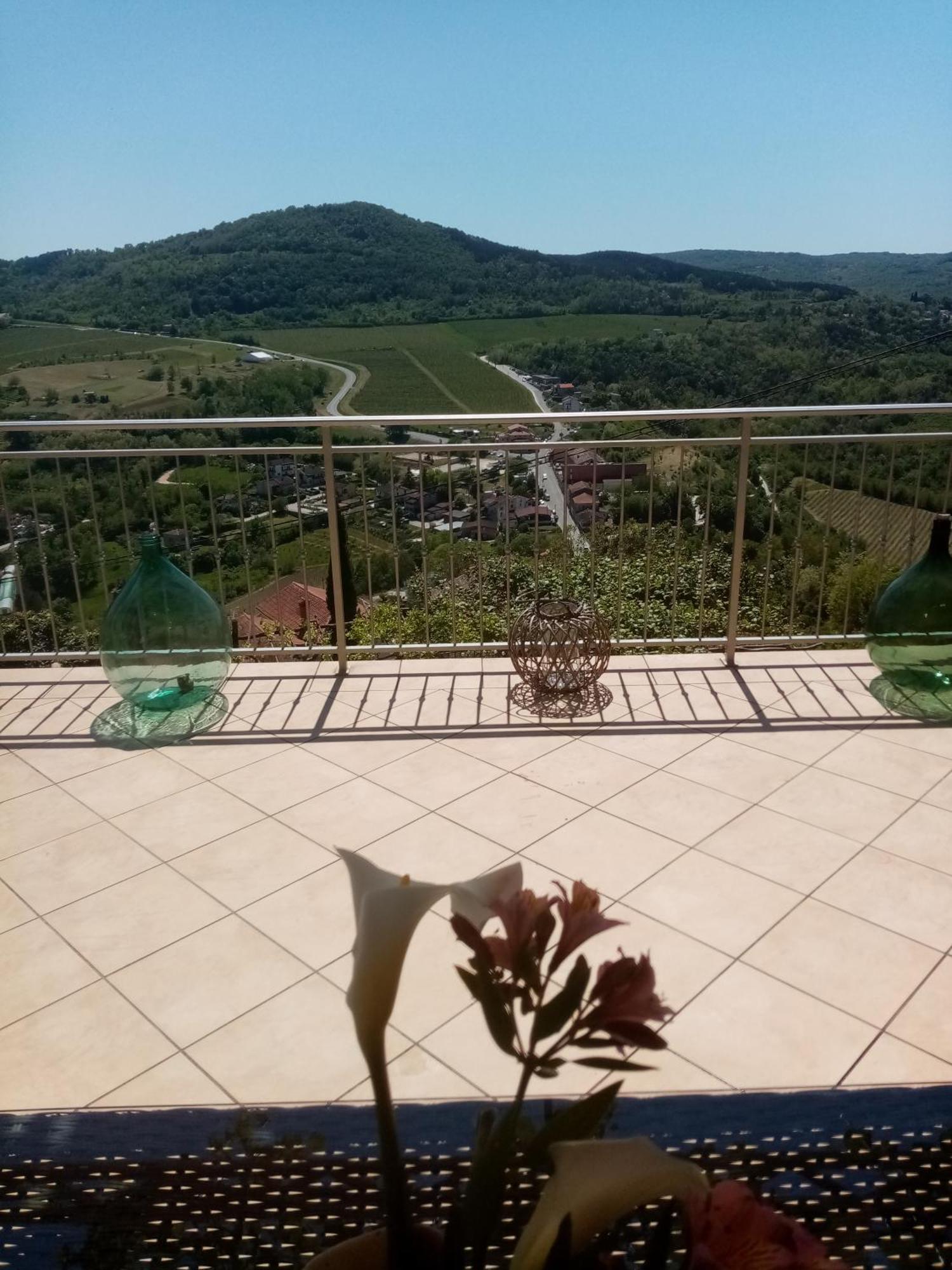 Studio Apartman Bel Vedere Мотовун Экстерьер фото