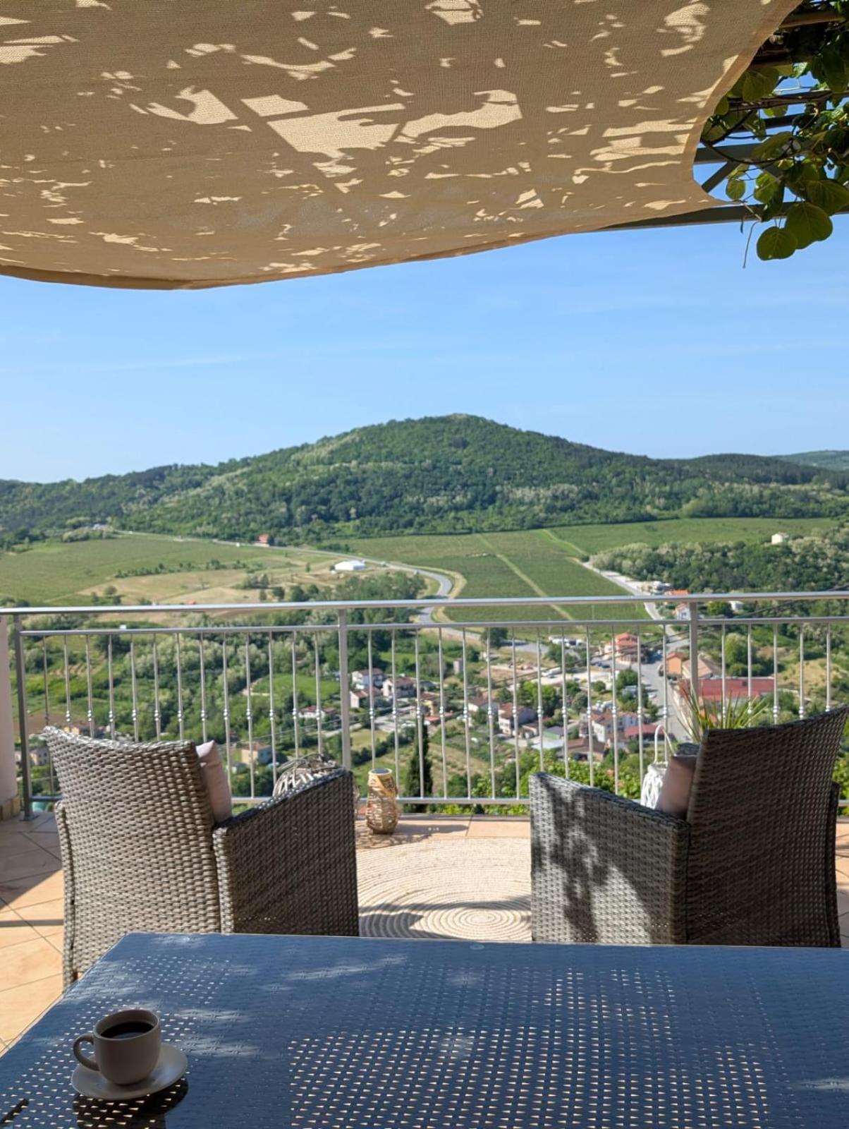 Studio Apartman Bel Vedere Мотовун Экстерьер фото