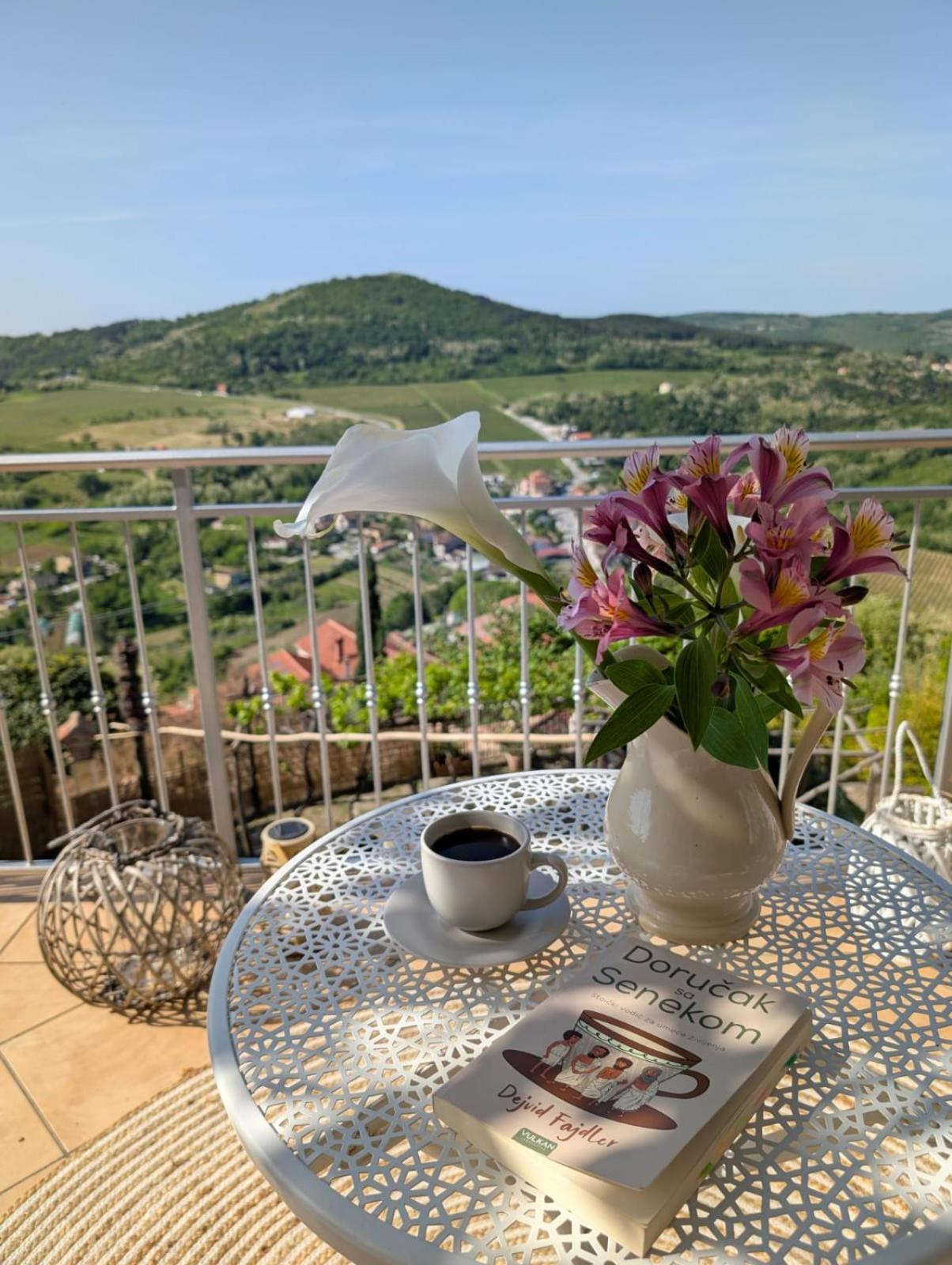 Studio Apartman Bel Vedere Мотовун Экстерьер фото
